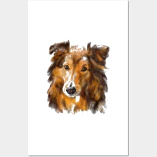 Sweet Affectionate Sheltie Shetland Sheepdog Posters and Art